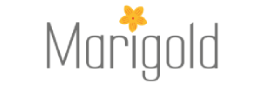 marigold